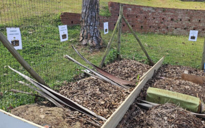 Responsible kitchen waste management research – we’re in!